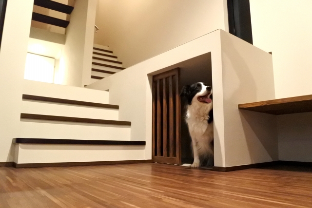 新築住宅で犬を飼いたい!愛犬と快適に暮らす後悔しない家づくりとは - LIVRA 住宅ラボ